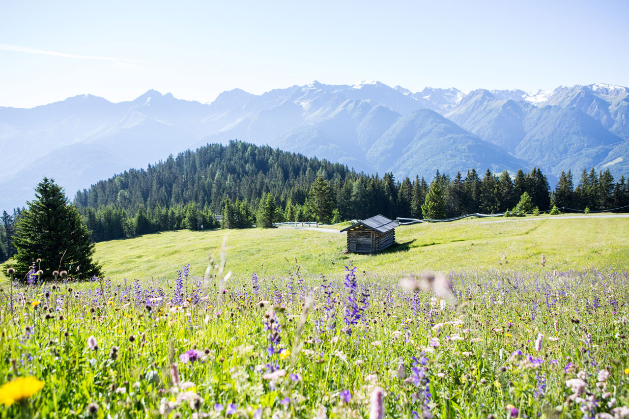 Aparthotel am Johannesbrunnen